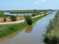 Ebro-Delta