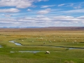 Schafe in Patagoniens Weite