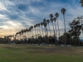 Chase Palm Park