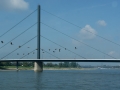 Theodor-Heuss-Brücke